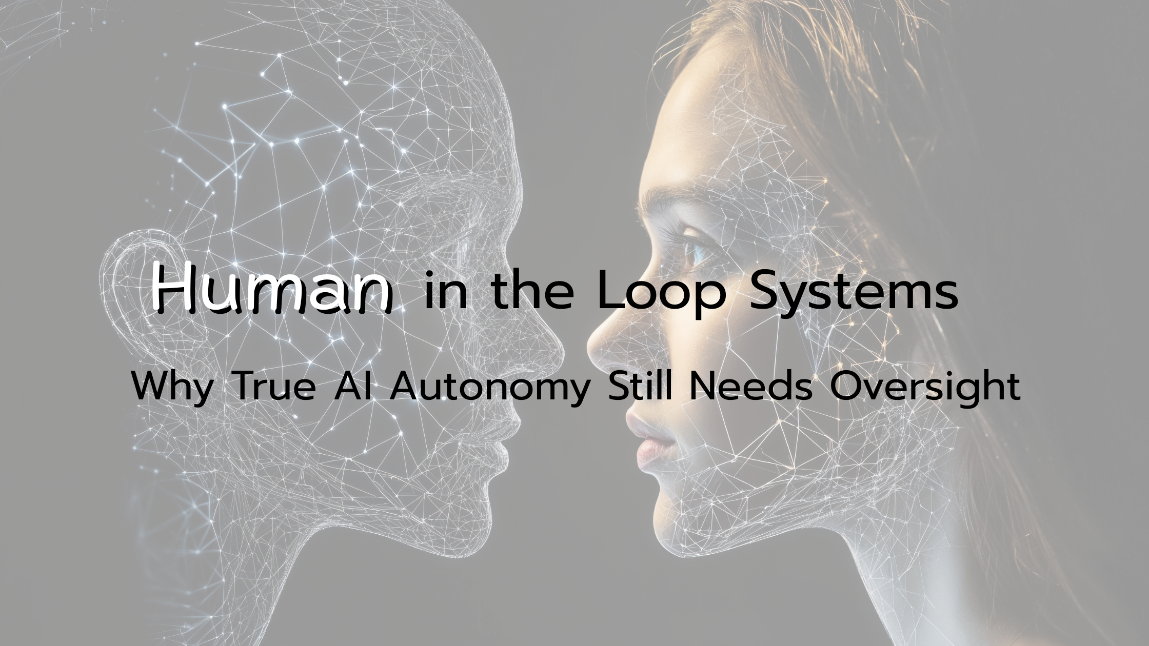 Human In The Loop - Systems